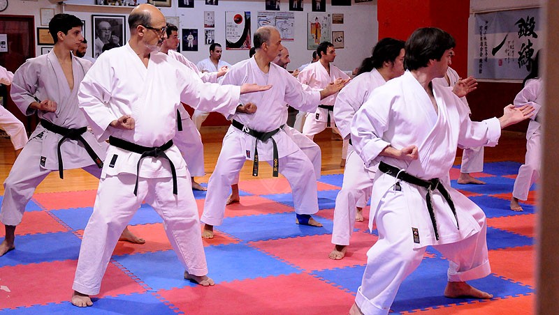 Actualizacin tcnica de karate do 